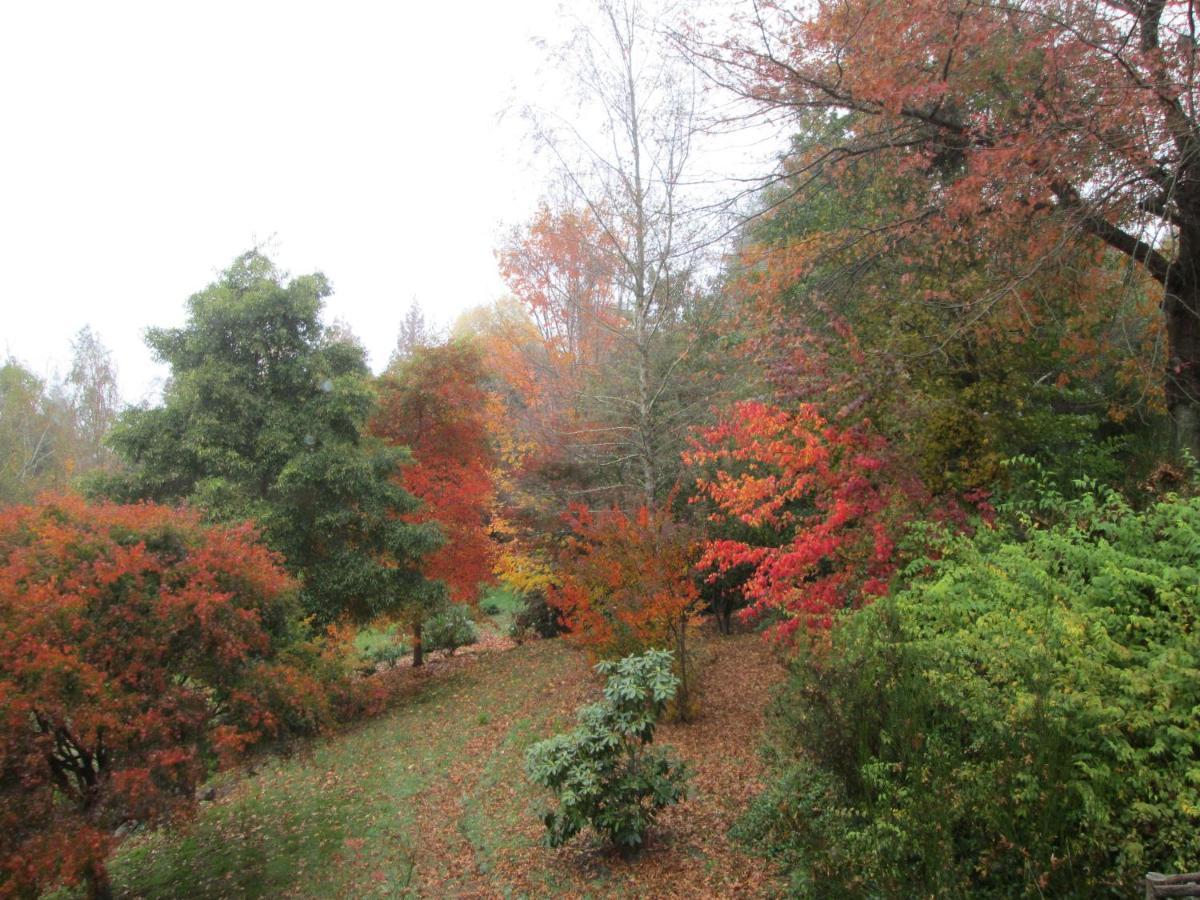 Vila Maple Grove Hogsback Exteriér fotografie