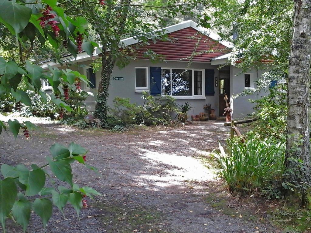 Vila Maple Grove Hogsback Exteriér fotografie