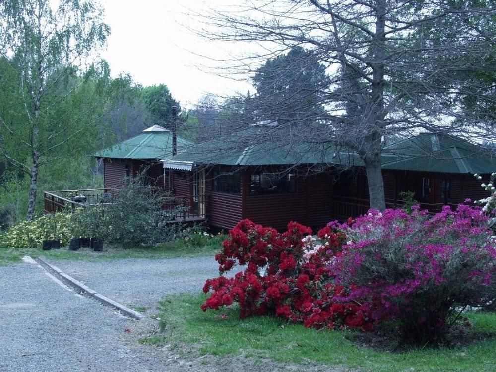 Vila Maple Grove Hogsback Exteriér fotografie