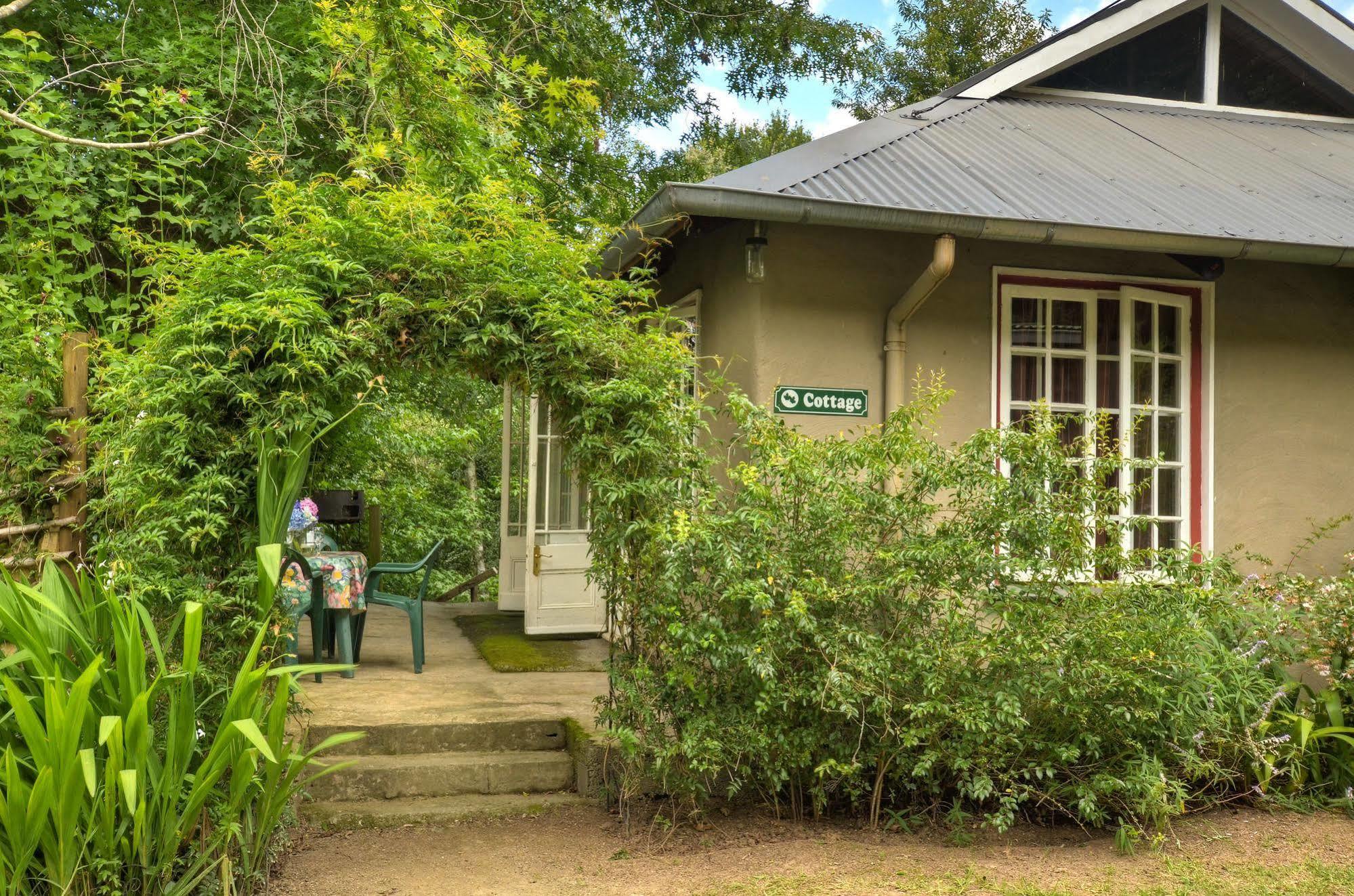 Vila Maple Grove Hogsback Exteriér fotografie