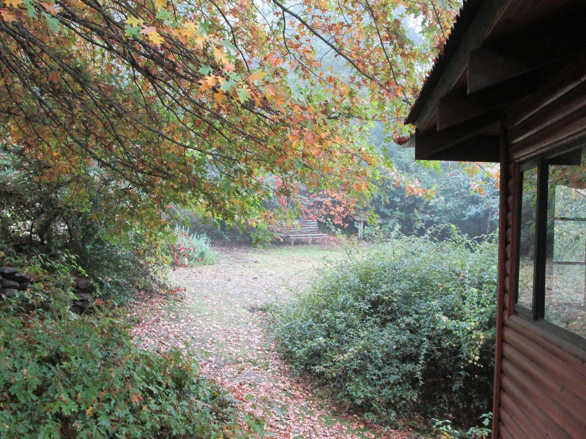 Vila Maple Grove Hogsback Exteriér fotografie