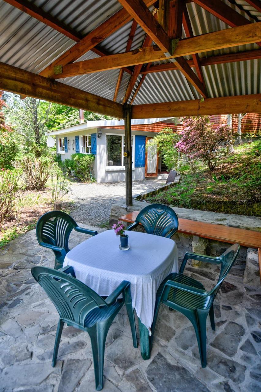 Vila Maple Grove Hogsback Exteriér fotografie