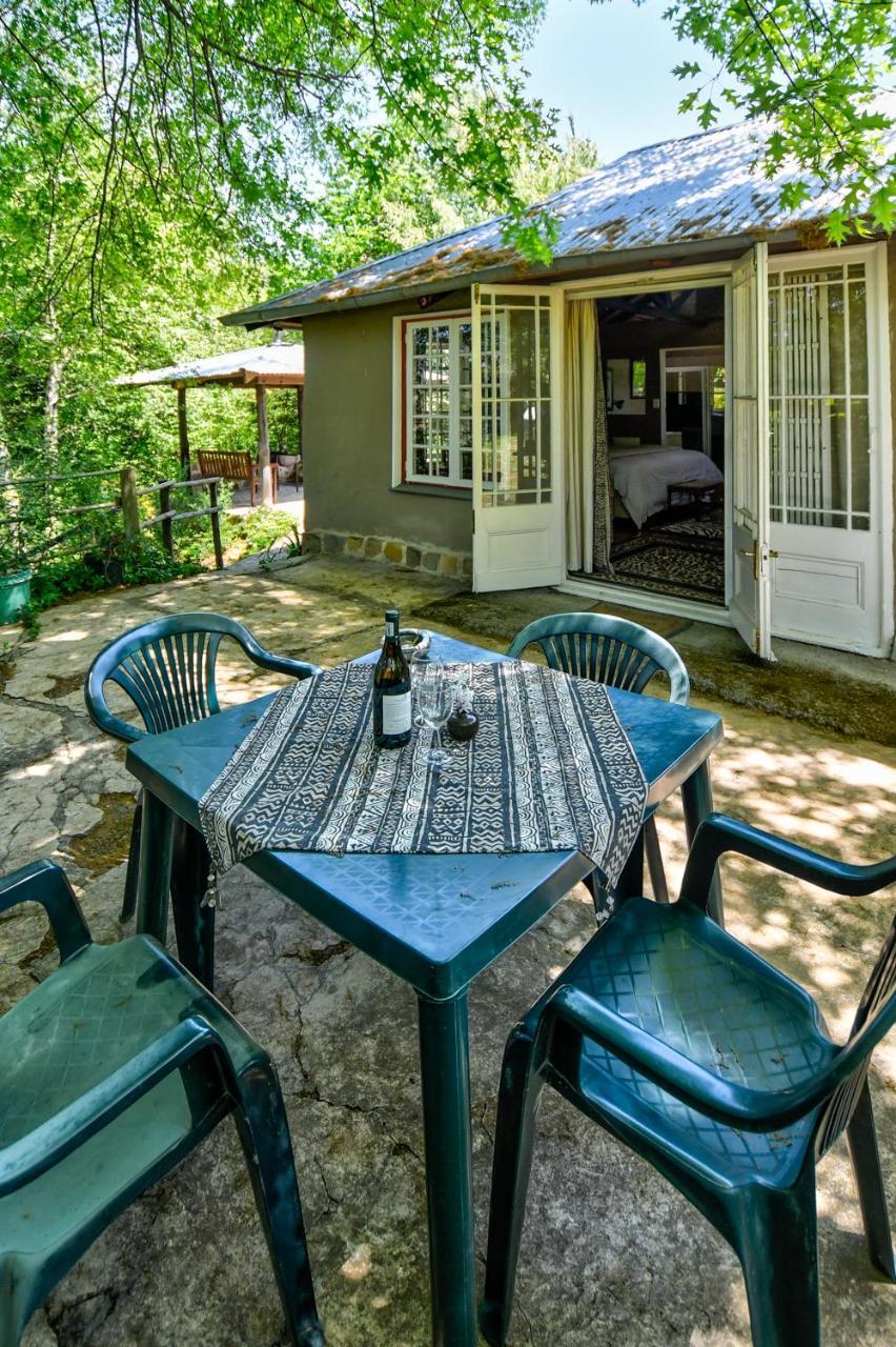 Vila Maple Grove Hogsback Exteriér fotografie