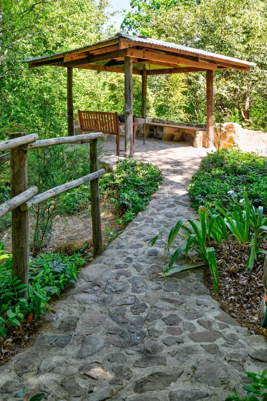 Vila Maple Grove Hogsback Exteriér fotografie