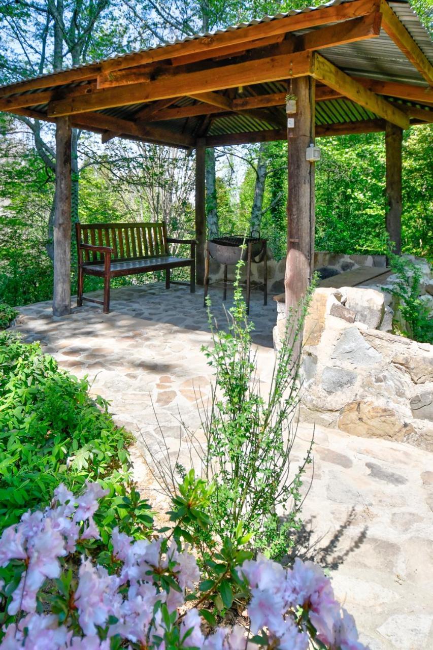 Vila Maple Grove Hogsback Exteriér fotografie